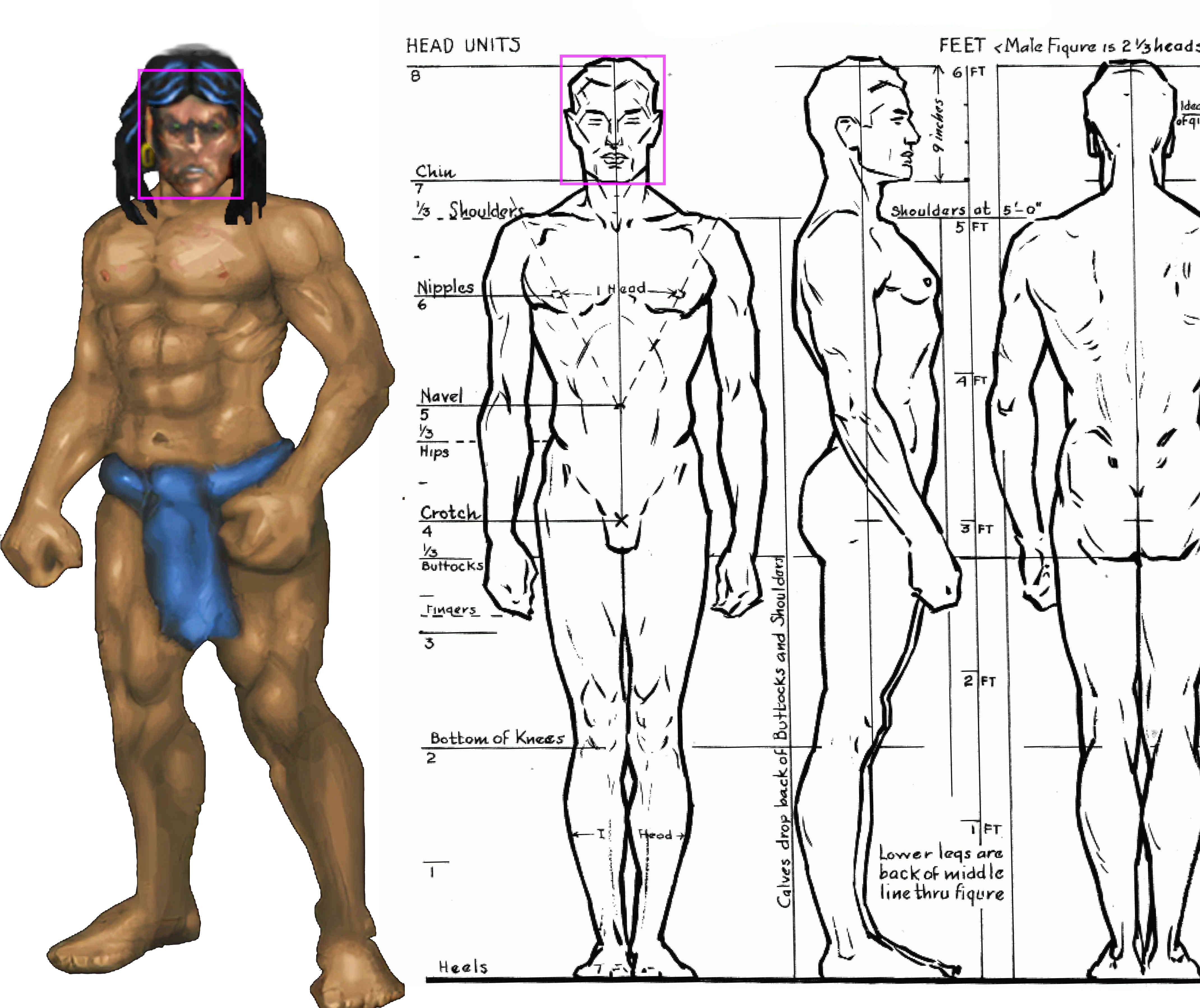 DFU paperdoll proportions.jpg