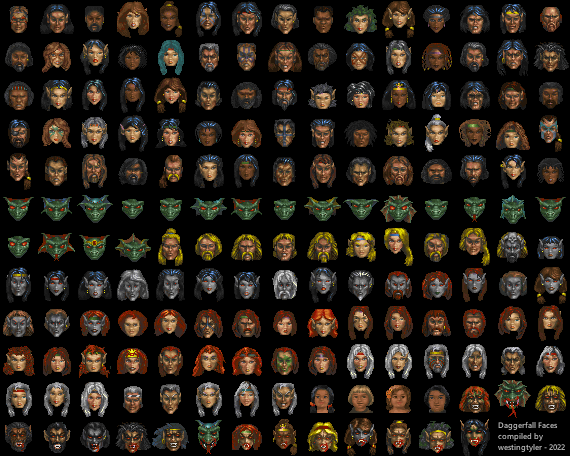 _daggerfall player portraits tightly packed.png